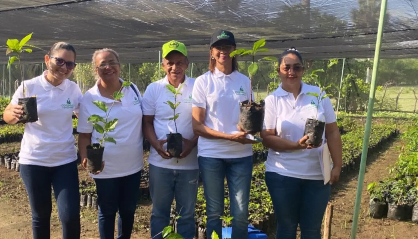 Colaboradores de Cooppais participando en una jornada de siembra de árboles
